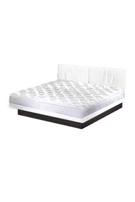 Wasserbett Soft-Optima 180x200cm (ab Ausstellung)