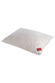 Pure Silk Kissen