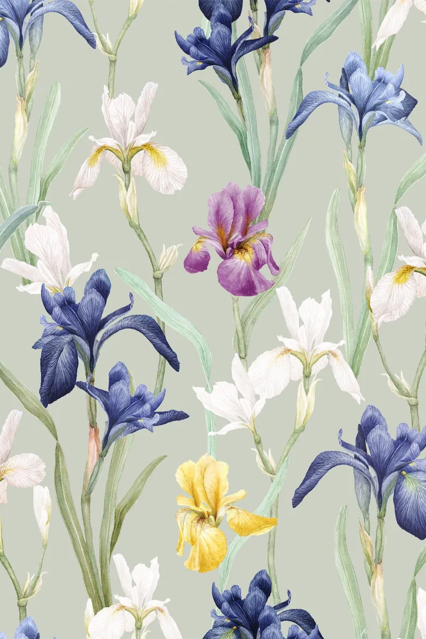 Satin Bettwäsche CHARLOTTE